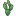 Nopali Logo