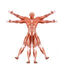 Dr. Muscle