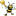 Fat Bees