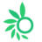 OHODiabetes Logo