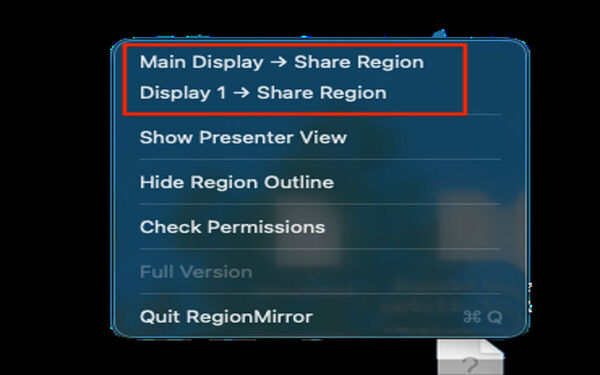 RegionMirror Screenshot 1