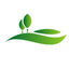 AWS Logo