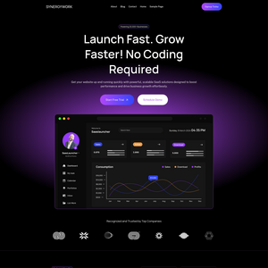 SYNERGYWORK Screenshot