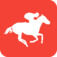 Practical Punting Icon