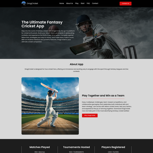 DragCricket Screenshot
