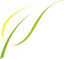 eRealSign Logo
